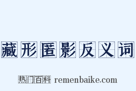 藏形匿影反义词是什么意思的图片